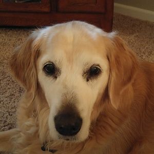 Meet your Posher, Tim